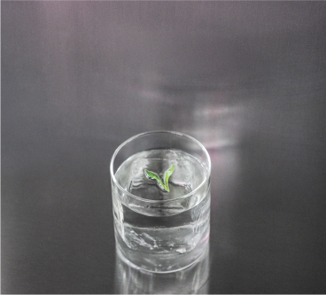 Vertical LED light columns inside the dark restaurant